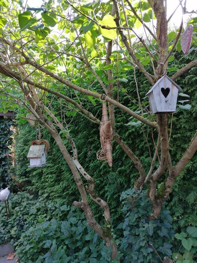 Luxe Wellness B&B Tim Torfs ***** Beringen Bagian luar foto