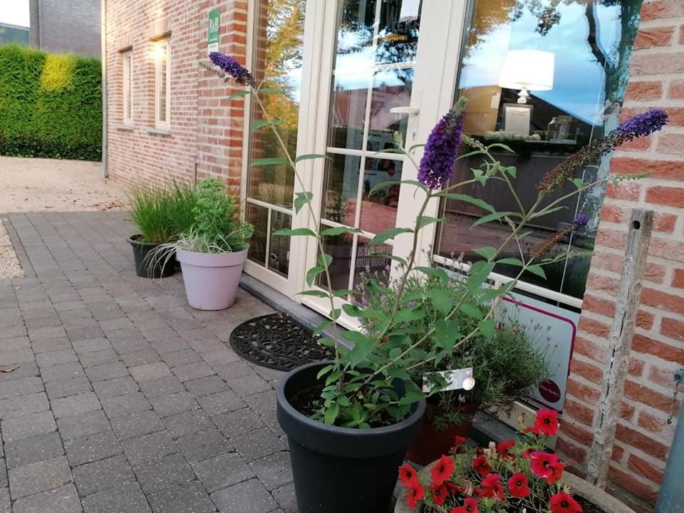 Luxe Wellness B&B Tim Torfs ***** Beringen Bagian luar foto